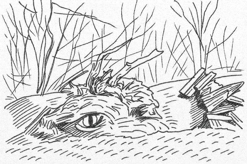 Illustration de l'actualité