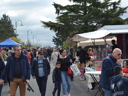 Illustration de la galerie