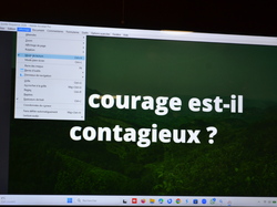 Illustration de la galerie