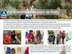 Illustration de la galerie