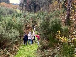 Illustration de la galerie