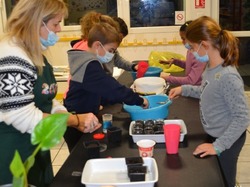 Illustration de la galerie