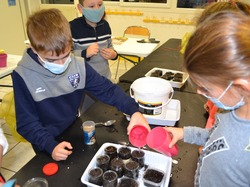 Illustration de la galerie