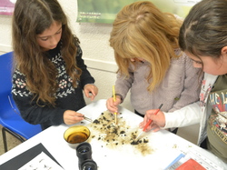 Illustration de la galerie