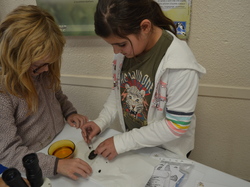 Illustration de la galerie