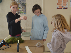 Illustration de la galerie