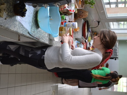 Illustration de la galerie