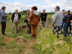 Illustration de la galerie