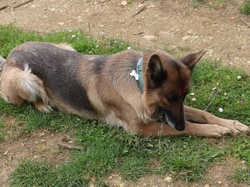 Illustration de la galerie