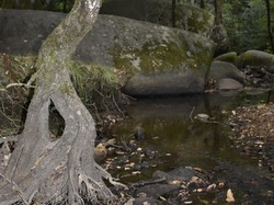 Illustration de la galerie