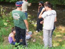 Illustration de la galerie