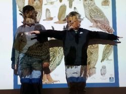 Illustration de la galerie