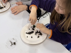 Illustration de la galerie