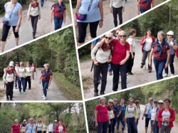 Illustration de la galerie