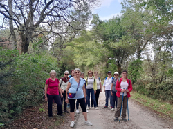 Illustration de la galerie