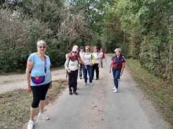 Illustration de la galerie