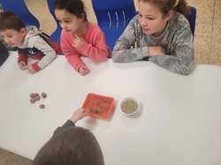 Illustration de la galerie