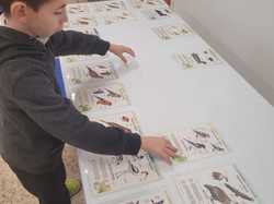 Illustration de la galerie