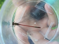 Illustration de la galerie