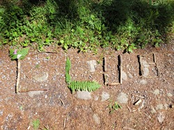 Illustration de la galerie