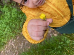 Illustration de la galerie