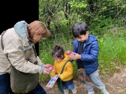 Illustration de la galerie