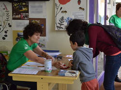 Illustration de la galerie