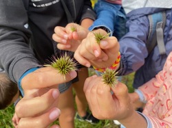 Illustration de la galerie