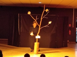 Illustration de la galerie