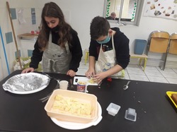 Illustration de la galerie