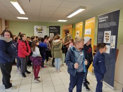 Illustration de la galerie