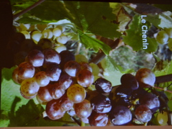 Illustration de la galerie