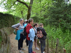 Illustration de la galerie