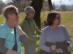 Illustration de la galerie