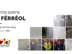 Illustration de la galerie