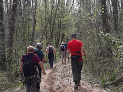 Illustration de la galerie