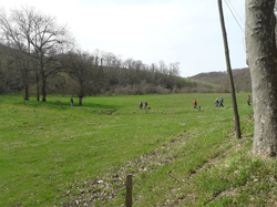 Illustration de la galerie