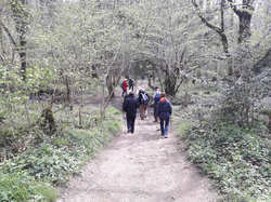 Illustration de la galerie