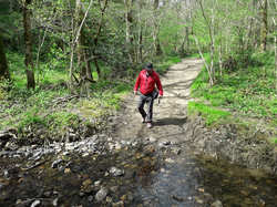 Illustration de la galerie