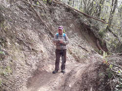 Illustration de la galerie