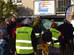 Illustration de la galerie