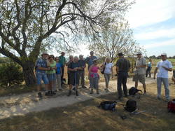 Illustration de la galerie