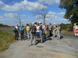 Illustration de la galerie