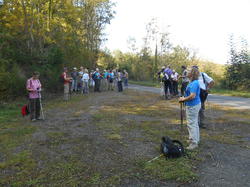 Illustration de la galerie