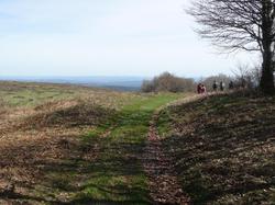 Illustration de la galerie