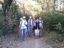 Illustration de la galerie