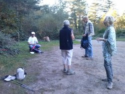 Illustration de la galerie