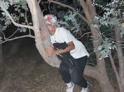 Illustration de la galerie