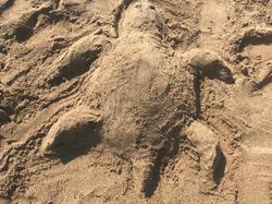 Illustration de la galerie