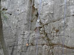 Illustration de la galerie